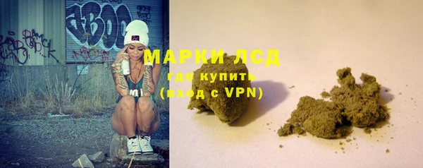 МДПВ Бородино