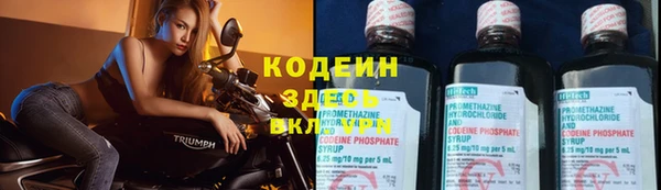 PSILOCYBIN Бугульма