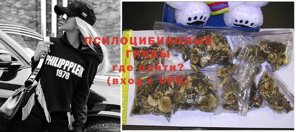 PSILOCYBIN Бугульма