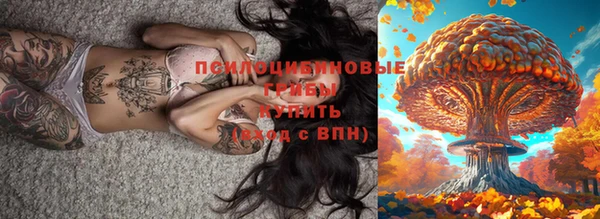 прущие крисы Бронницы