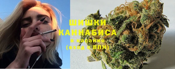 МДПВ Бородино