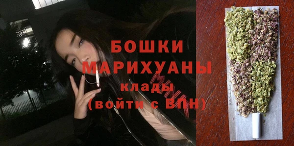 МДПВ Бородино
