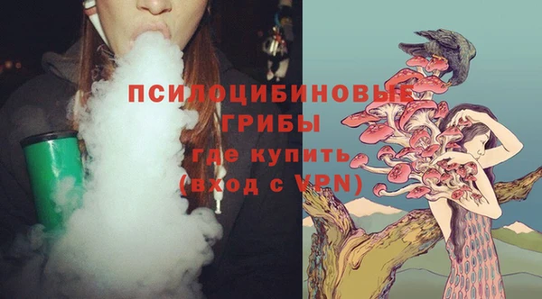 PSILOCYBIN Бугульма