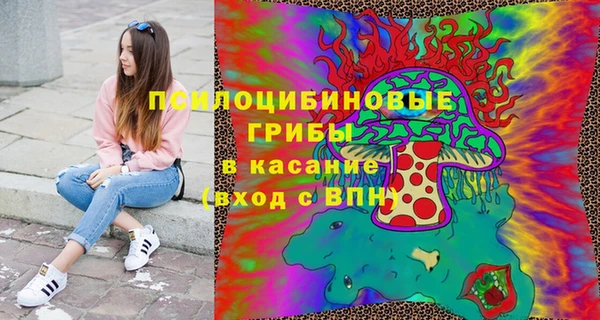 МДПВ Бородино