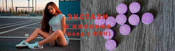 МДПВ Бородино