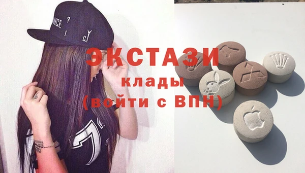 МДПВ Бородино