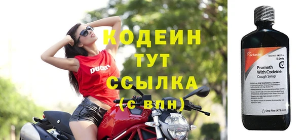 МДПВ Бородино