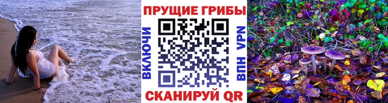 Галлюциногенные грибы Psilocybine cubensis продажа наркотиков Буйнакск