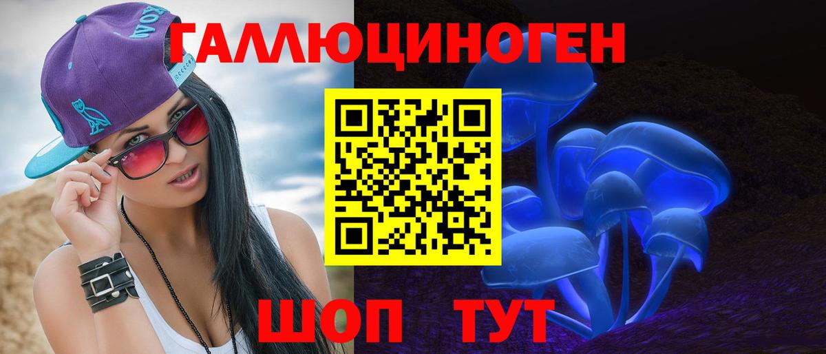 Псилоцибиновые грибы GOLDEN TEACHER Буйнакск