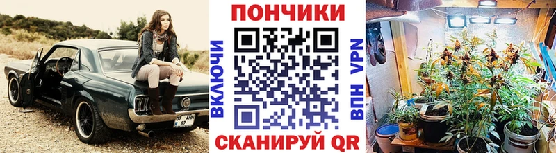 Шишки марихуана White Widow купить наркотики сайты Буйнакск